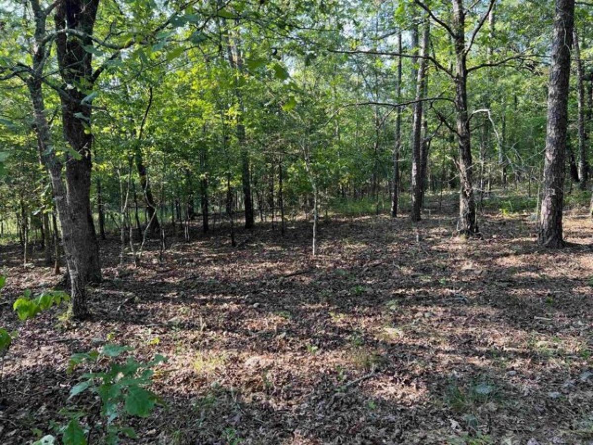 Picture of Residential Land For Sale in Jessieville, Arkansas, United States