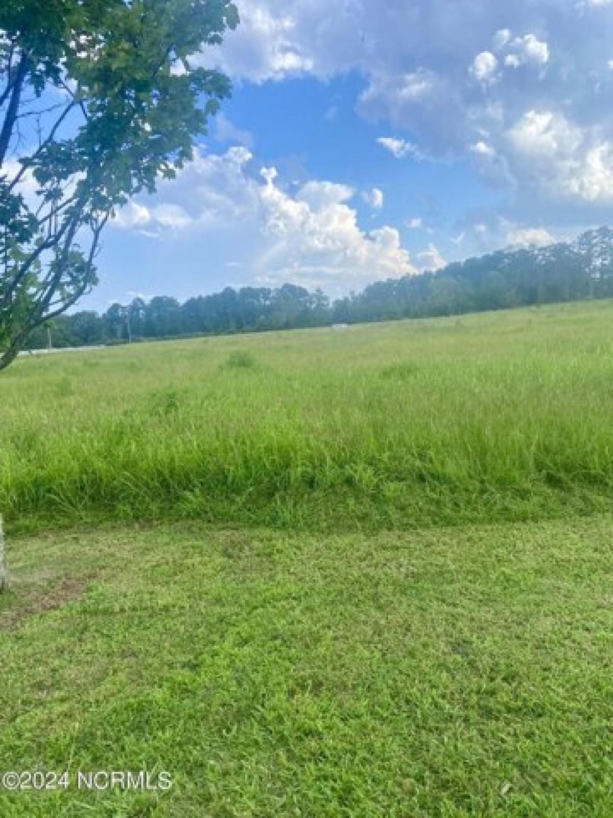 Picture of Residential Land For Sale in Belhaven, North Carolina, United States