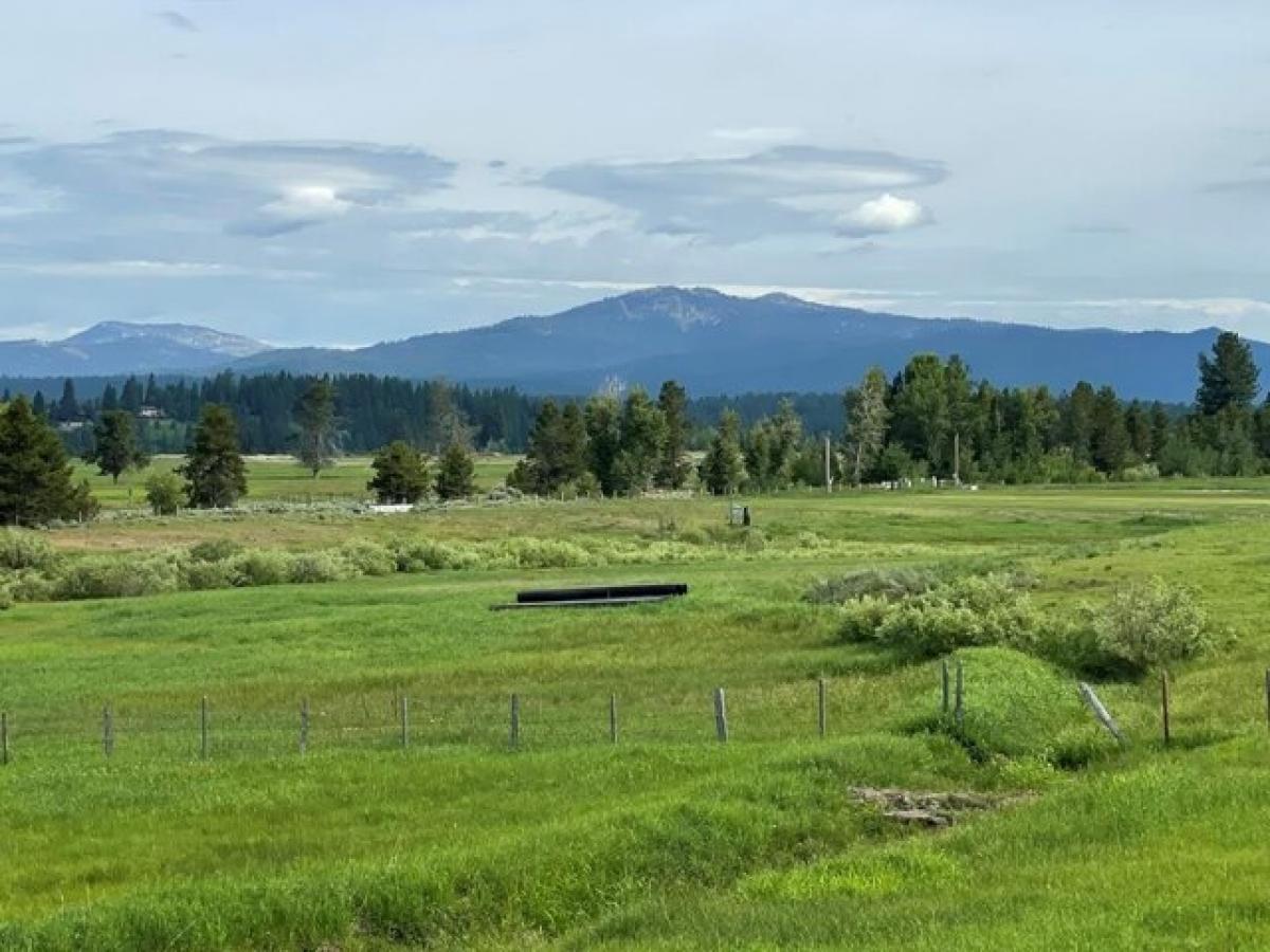 Picture of Residential Land For Sale in McCall, Idaho, United States