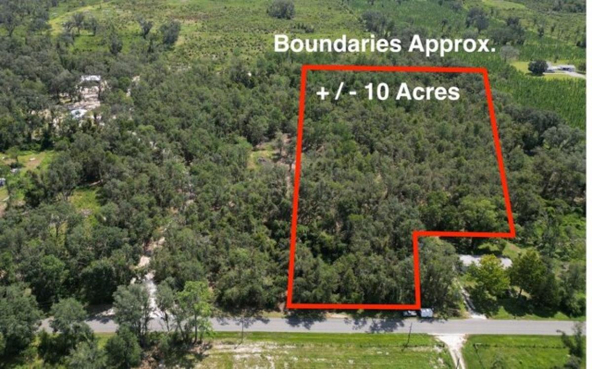 Picture of Residential Land For Sale in Live Oak, Florida, United States