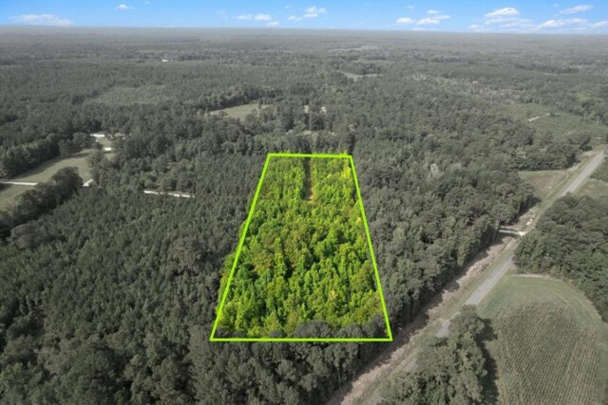 Picture of Residential Land For Sale in Harleyville, South Carolina, United States