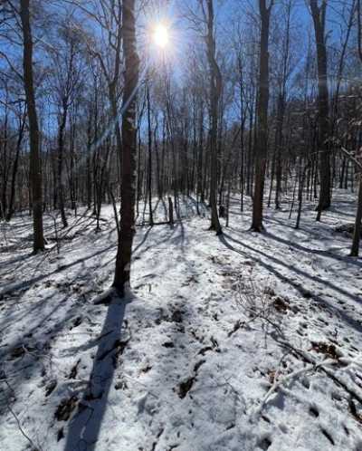 Residential Land For Sale in Saint Albans, West Virginia