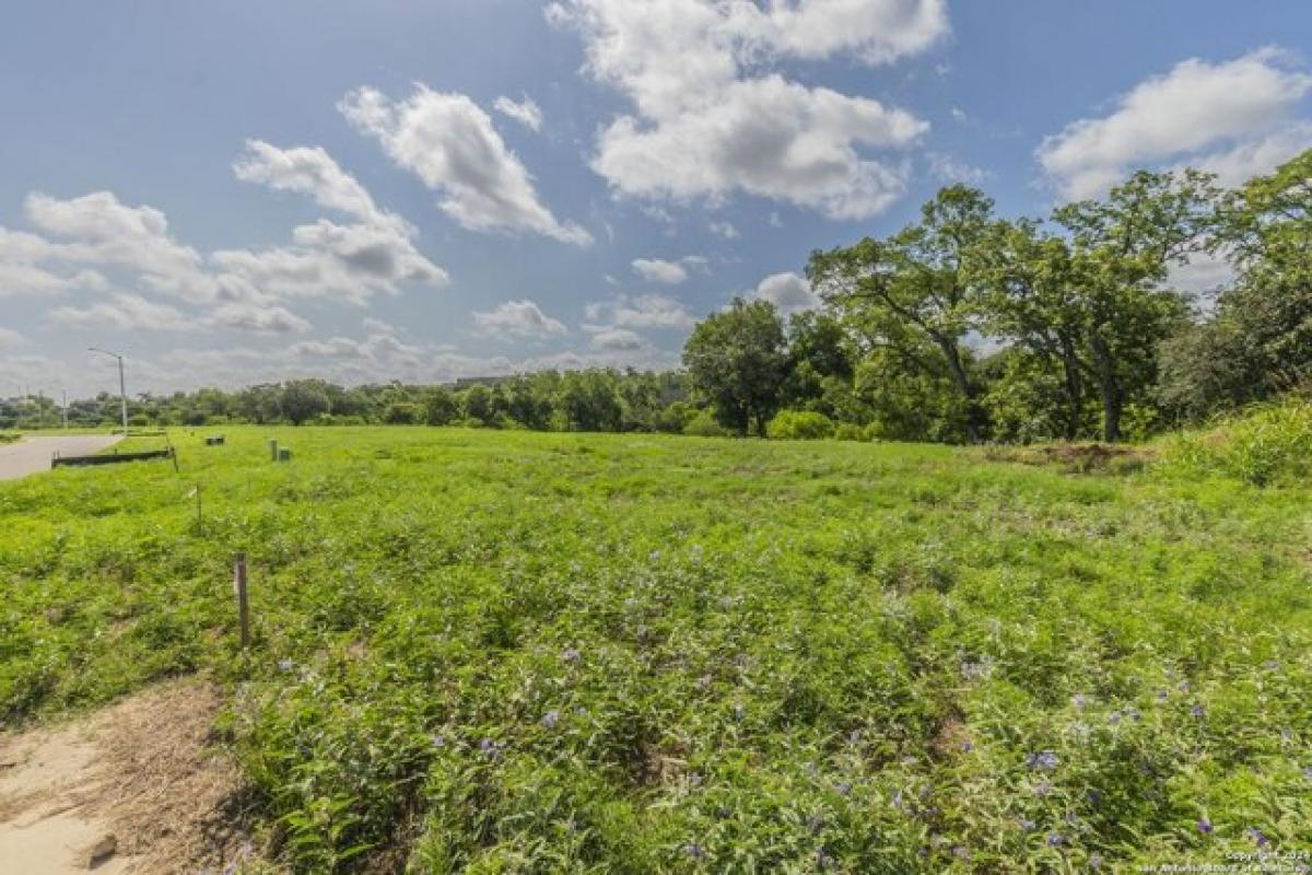 Picture of Residential Land For Sale in New Braunfels, Texas, United States