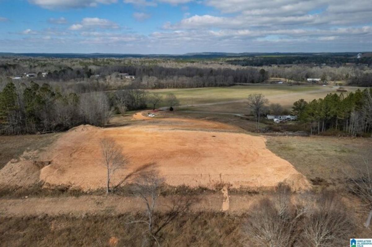 Picture of Residential Land For Sale in Ragland, Alabama, United States