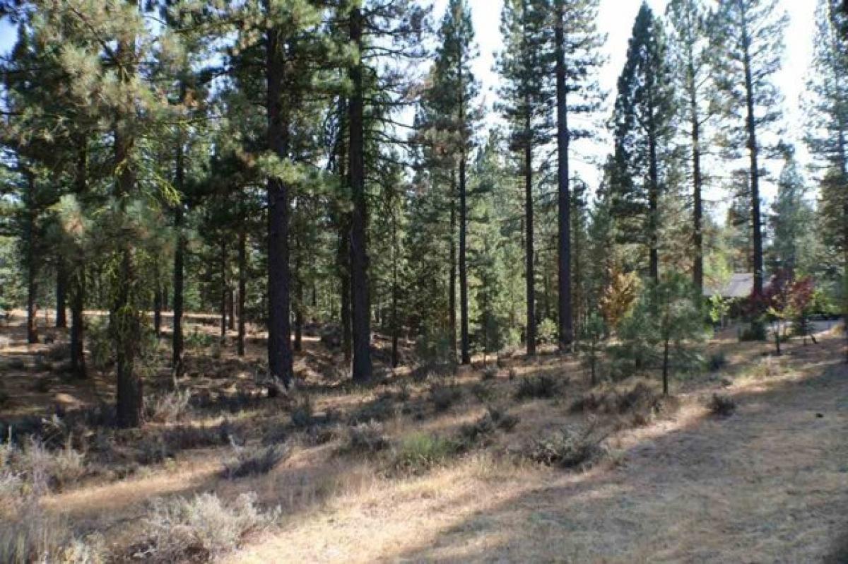 Picture of Residential Land For Sale in Clio, California, United States