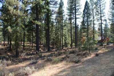 Residential Land For Sale in Clio, California