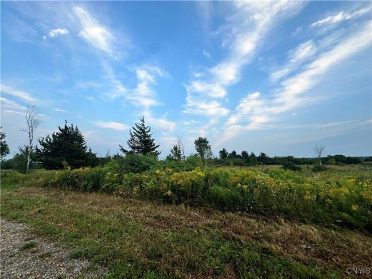 Picture of Residential Land For Sale in Clayton, New York, United States