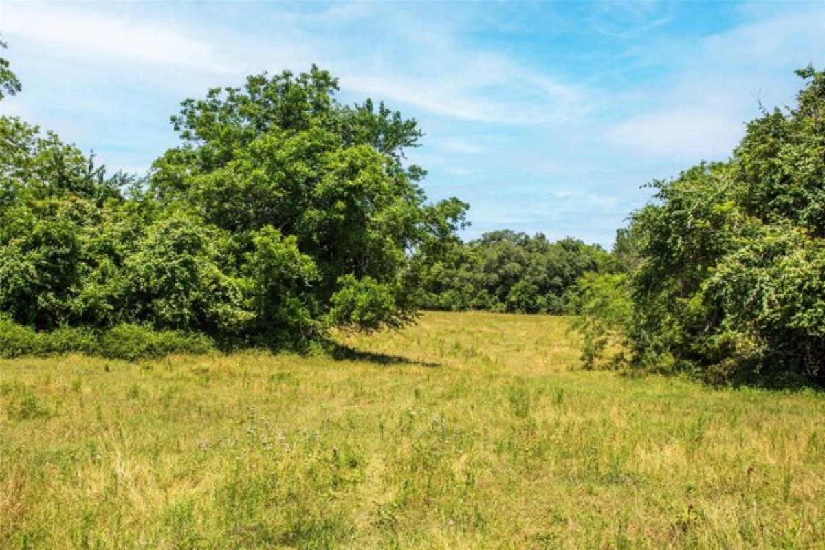 Picture of Residential Land For Sale in Schulenburg, Texas, United States