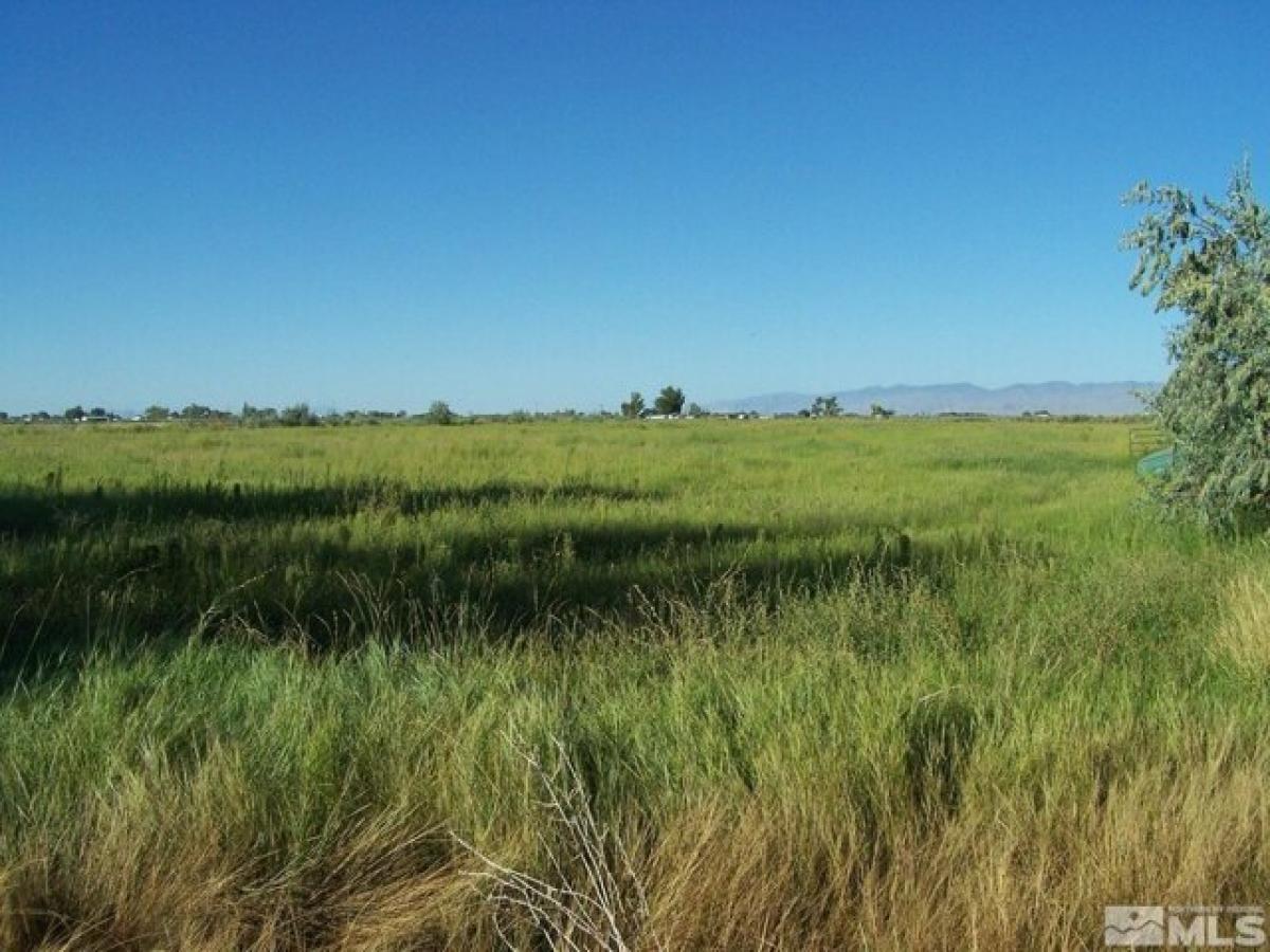 Picture of Residential Land For Sale in Fallon, Nevada, United States