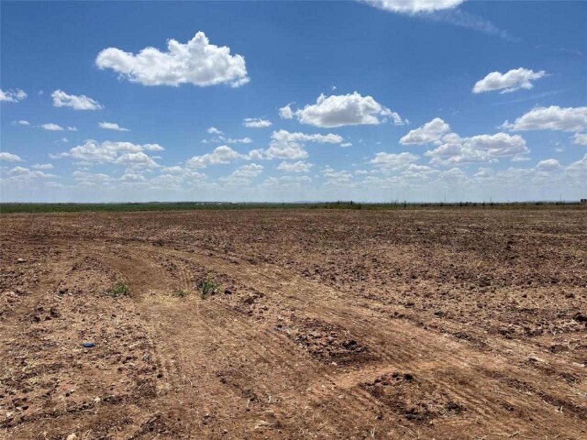 Picture of Residential Land For Sale in Hawley, Texas, United States