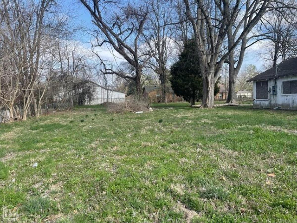 Picture of Residential Land For Sale in Blytheville, Arkansas, United States