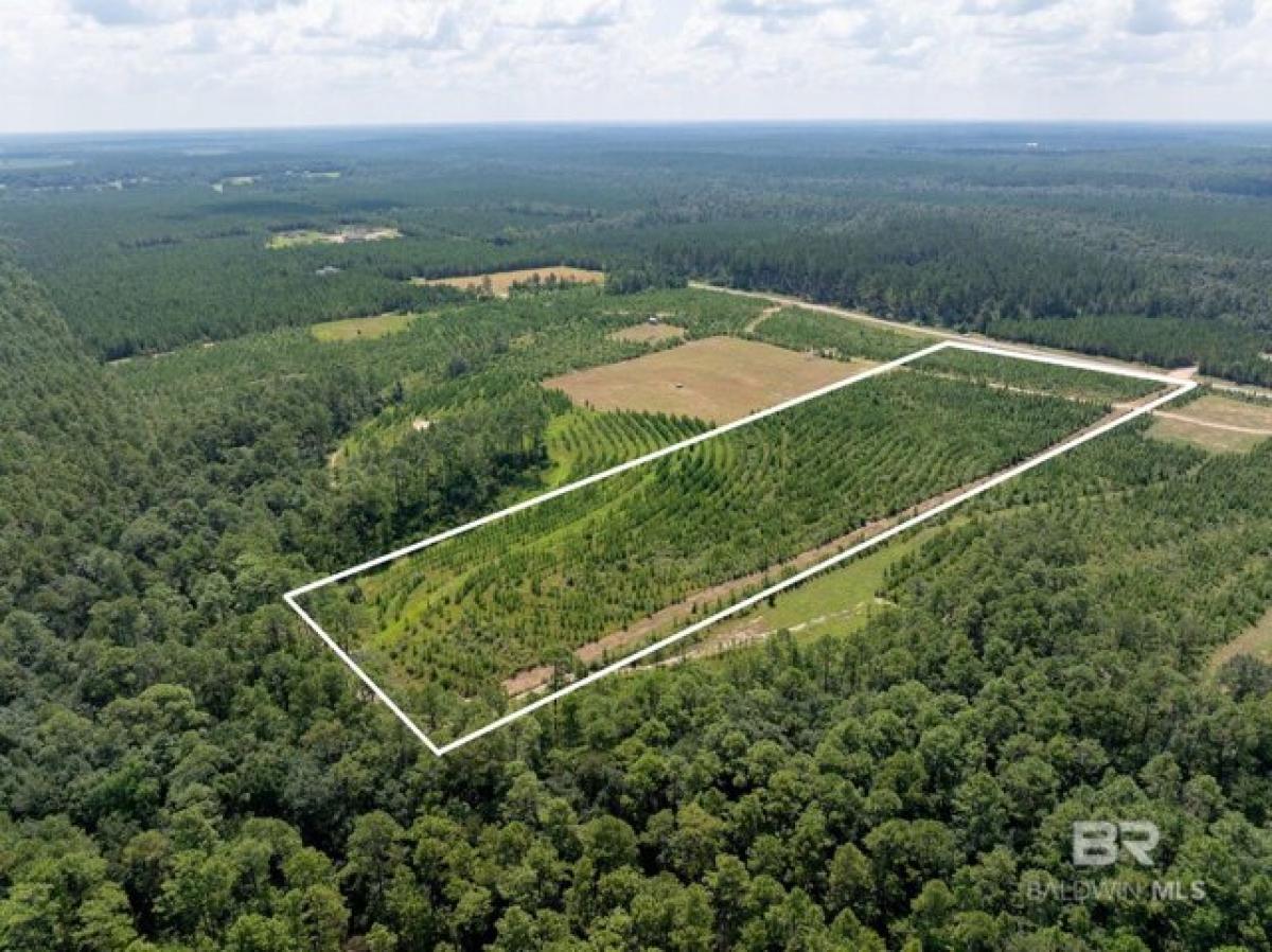 Picture of Residential Land For Sale in Bay Minette, Alabama, United States