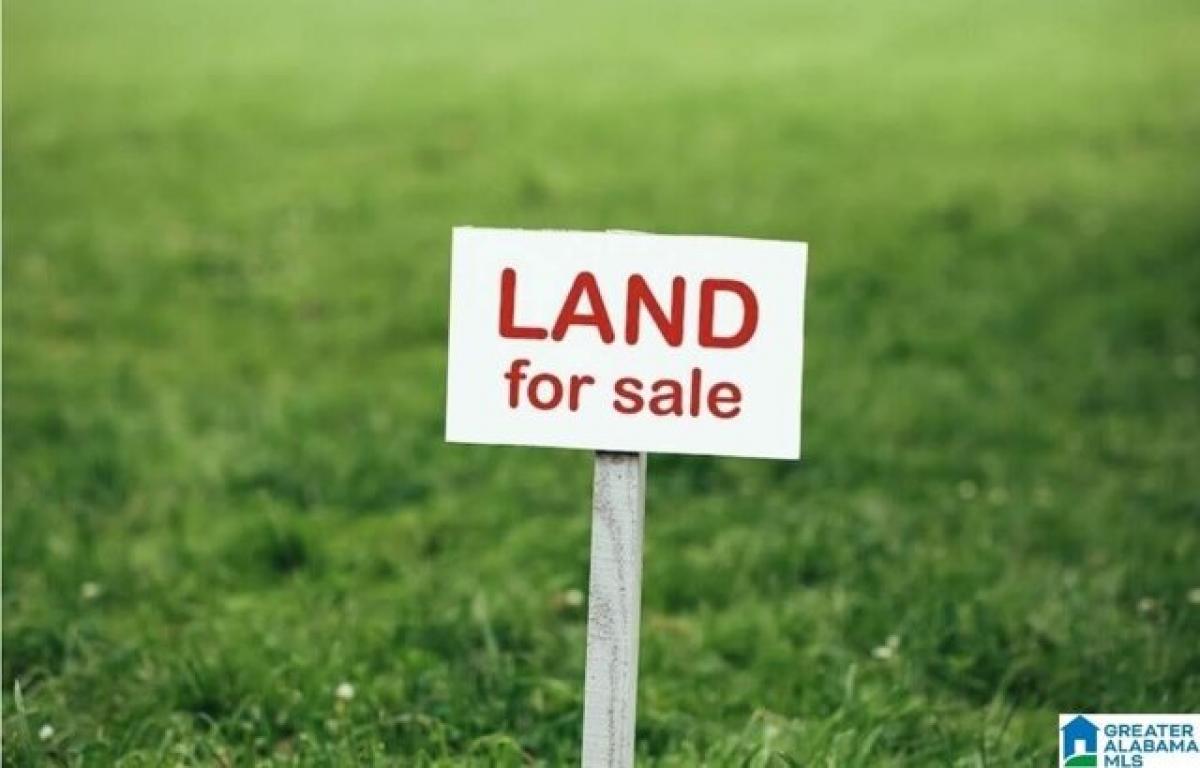 Picture of Residential Land For Sale in Bessemer, Alabama, United States