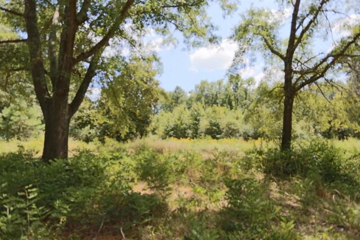 Picture of Residential Land For Sale in Lakeland, Tennessee, United States