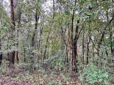 Residential Land For Sale in Tallahassee, Florida