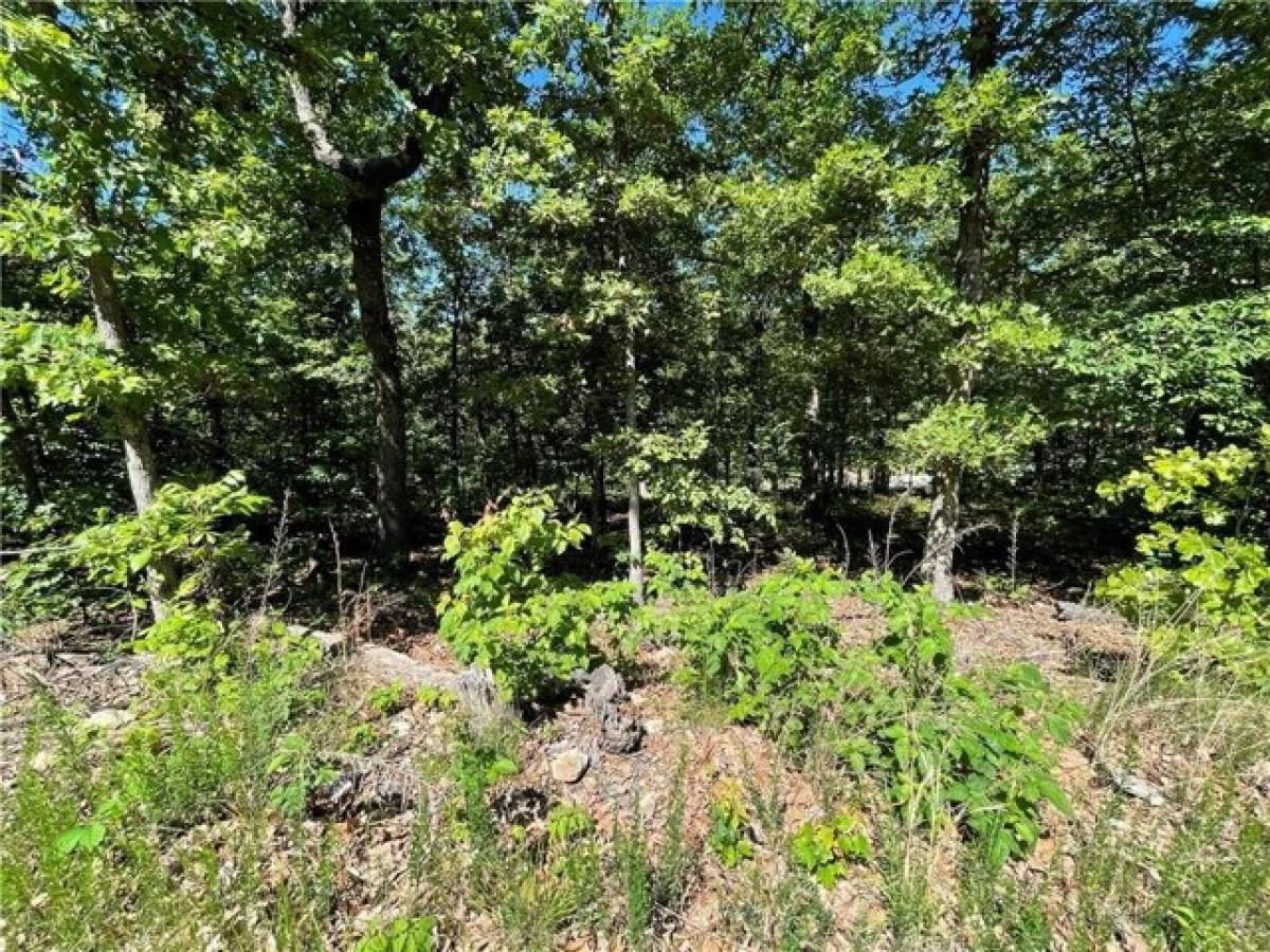 Picture of Residential Land For Sale in Bella Vista, Arkansas, United States