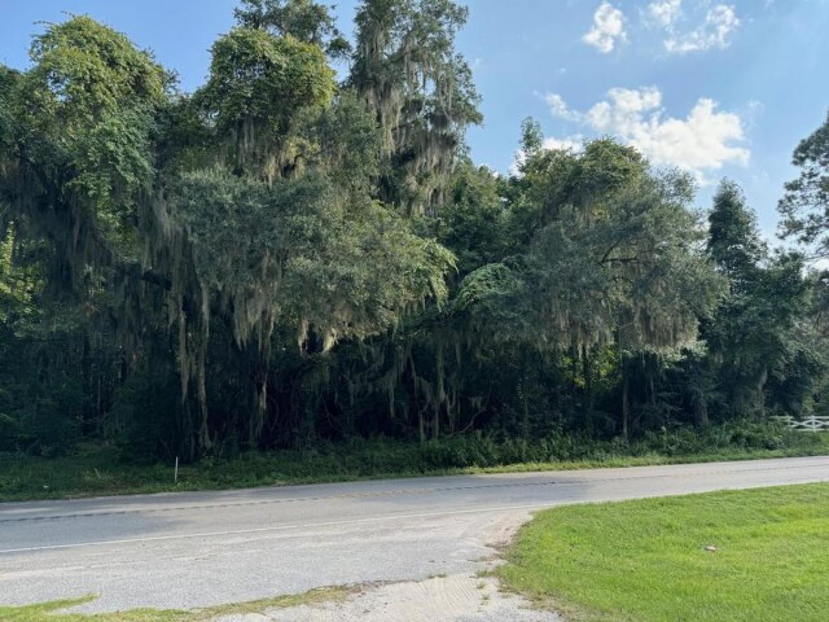 Picture of Residential Land For Sale in Edisto Island, South Carolina, United States