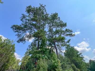 Residential Land For Sale in Newton, Texas