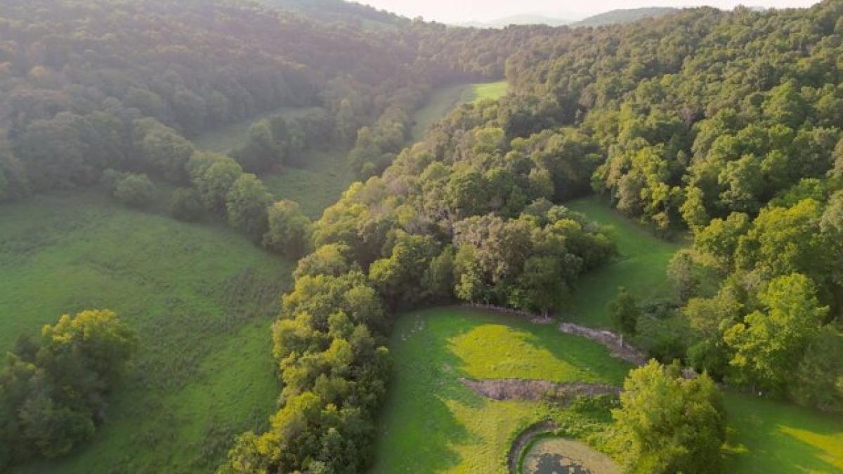 Picture of Residential Land For Sale in Brush Creek, Tennessee, United States