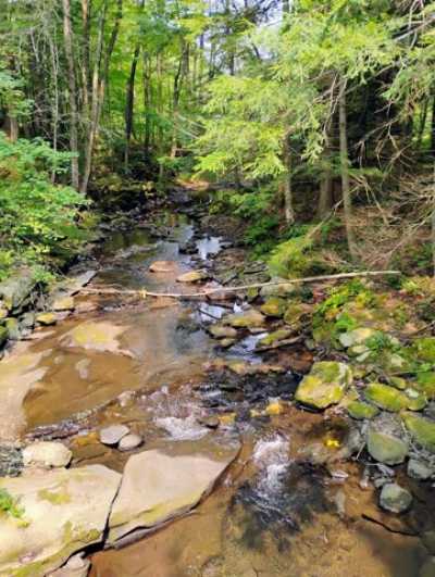 Residential Land For Sale in Cornish, New Hampshire