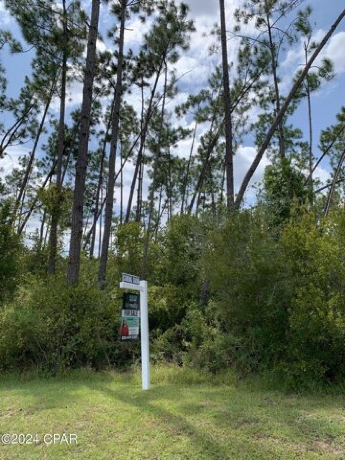 Picture of Residential Land For Sale in Wewahitchka, Florida, United States