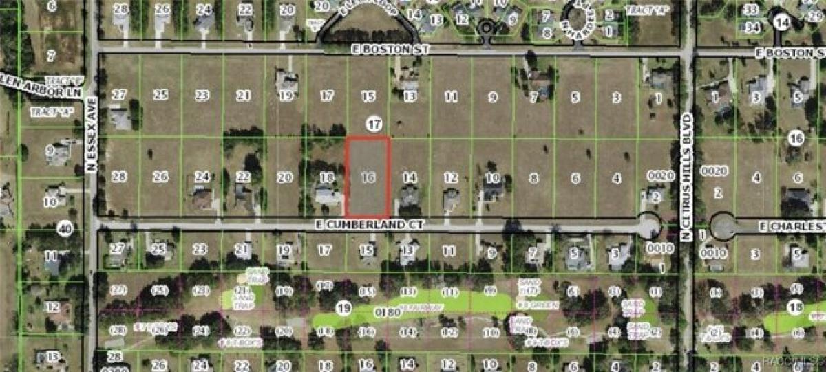 Picture of Residential Land For Sale in Hernando, Florida, United States