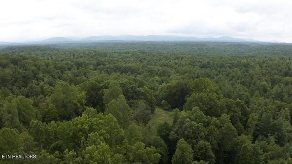 Picture of Residential Land For Sale in Sunbright, Tennessee, United States