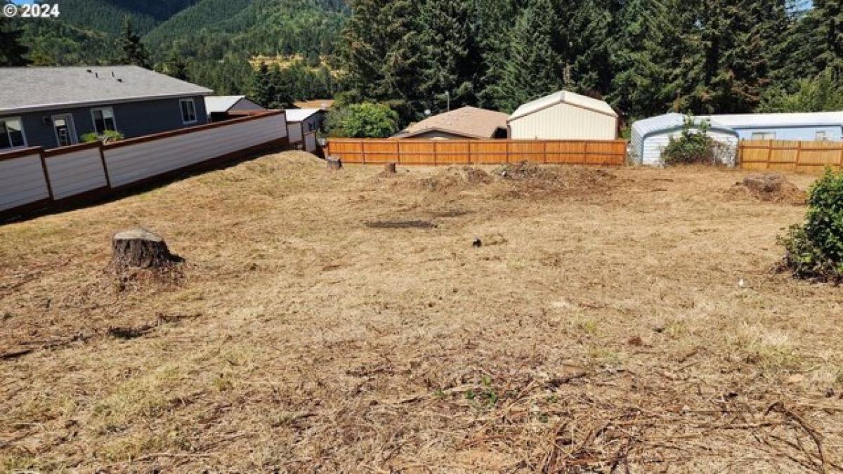 Picture of Residential Land For Sale in Yoncalla, Oregon, United States