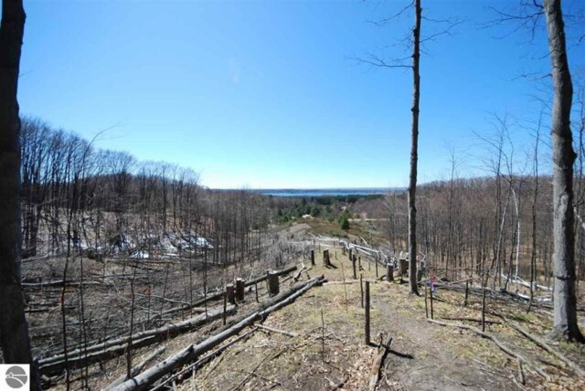 Picture of Residential Land For Sale in Central Lake, Michigan, United States