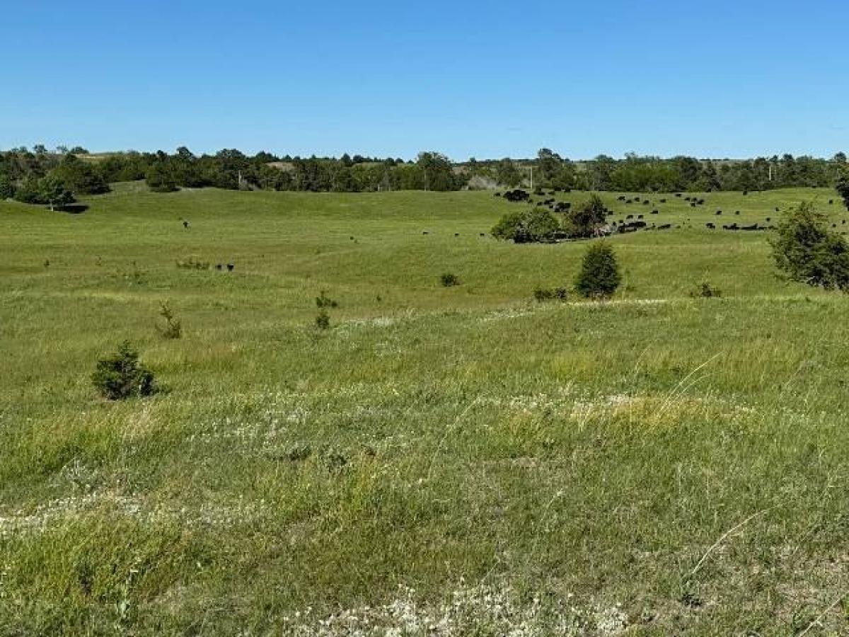 Picture of Residential Land For Sale in Burwell, Nebraska, United States