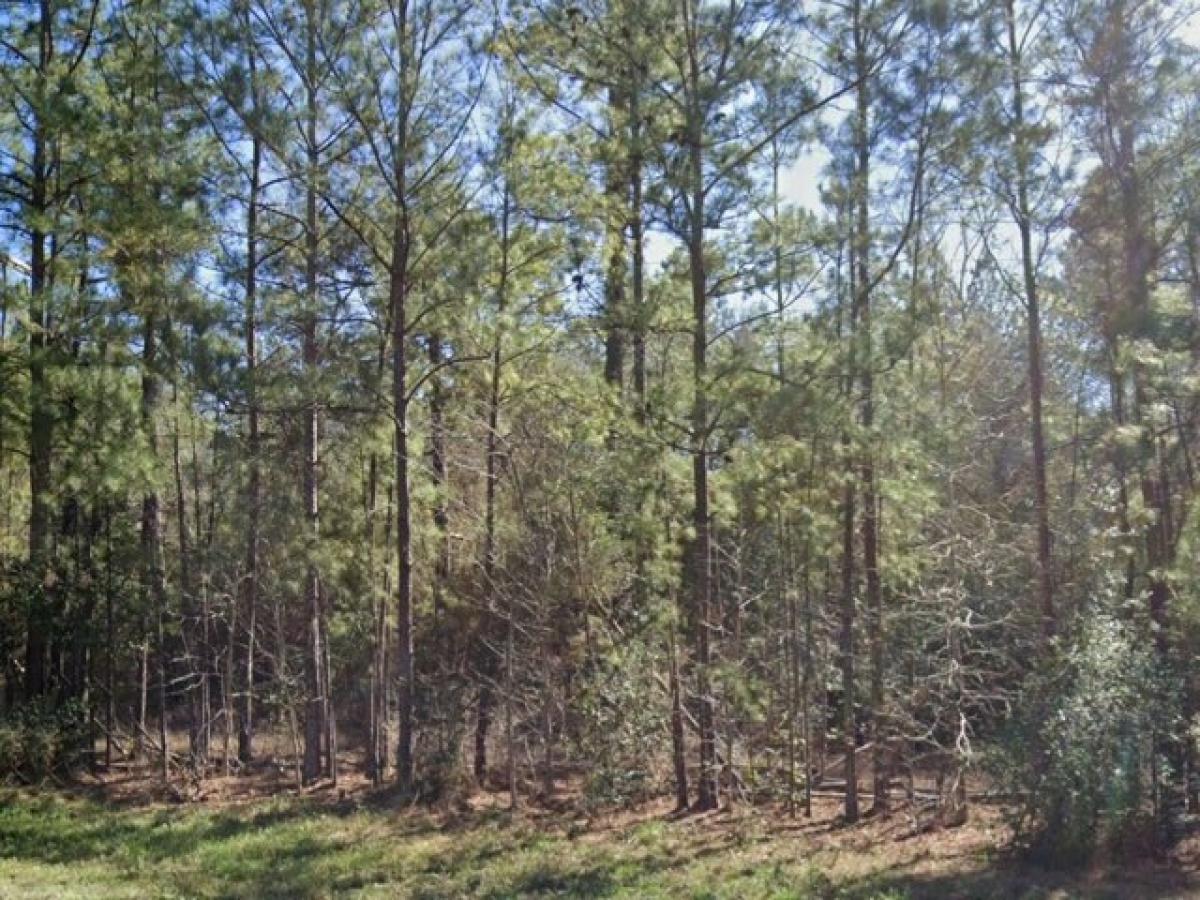 Picture of Residential Land For Sale in Kountze, Texas, United States