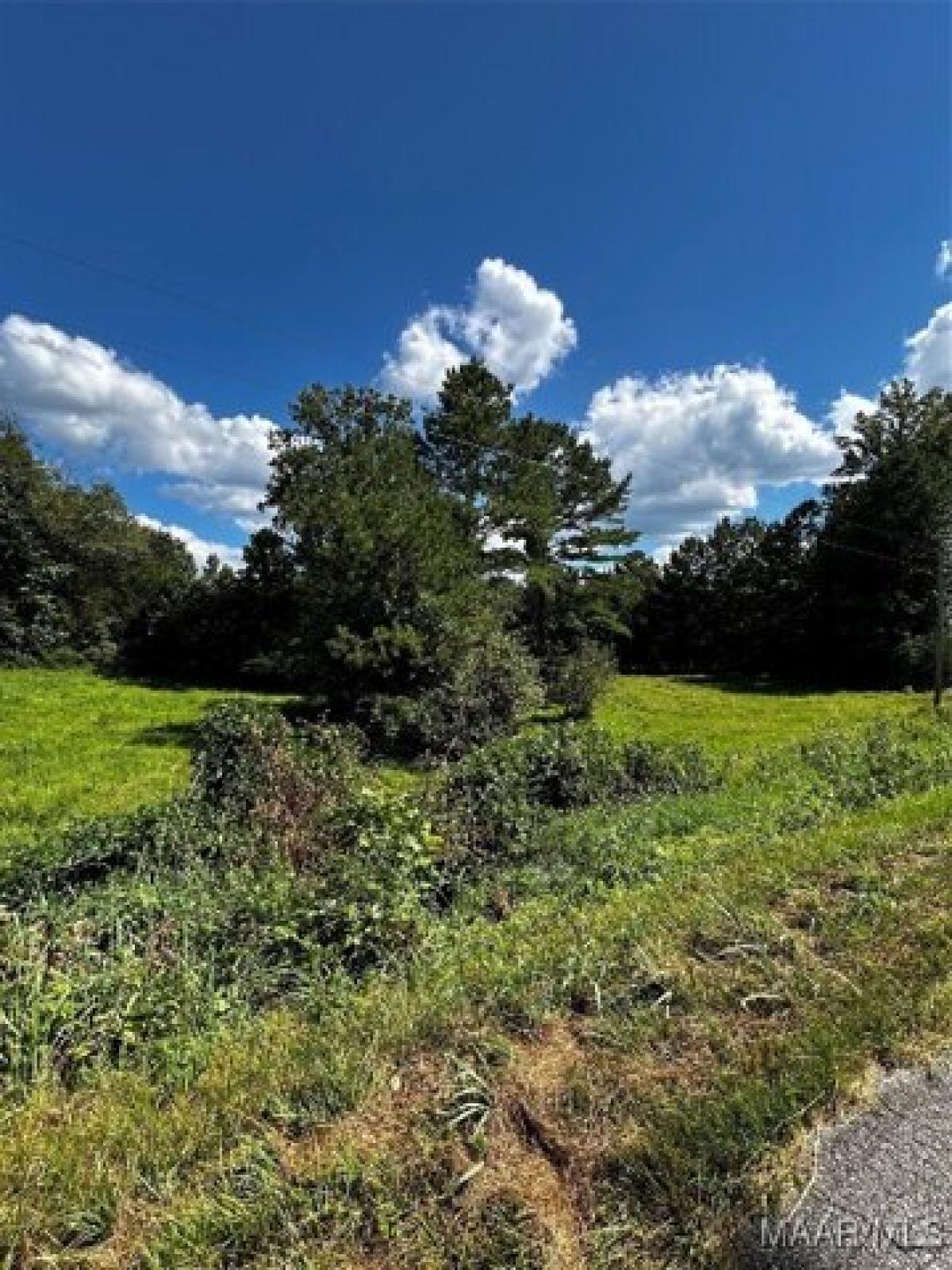 Picture of Residential Land For Sale in Wedowee, Alabama, United States