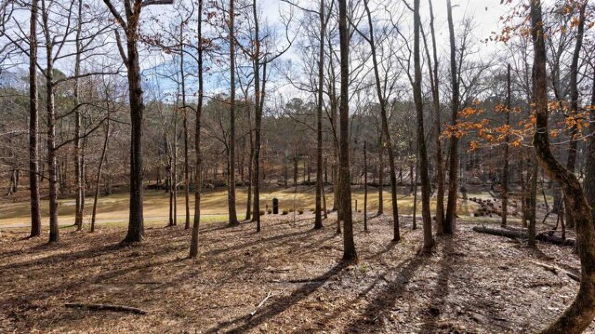 Picture of Residential Land For Sale in Greensboro, Georgia, United States