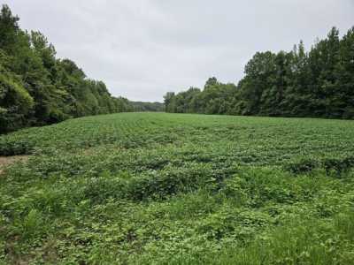 Residential Land For Sale in Henderson, Tennessee