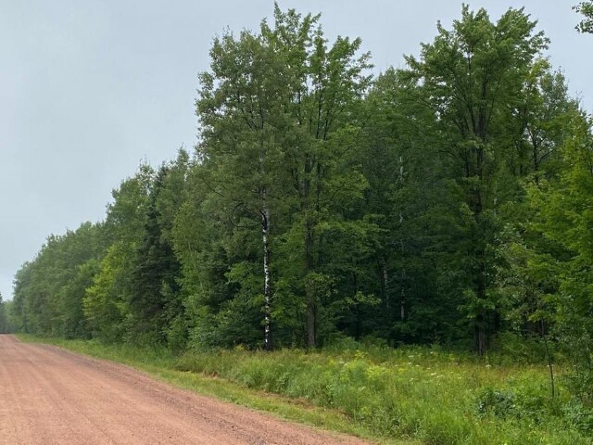 Picture of Residential Land For Sale in Merrill, Wisconsin, United States