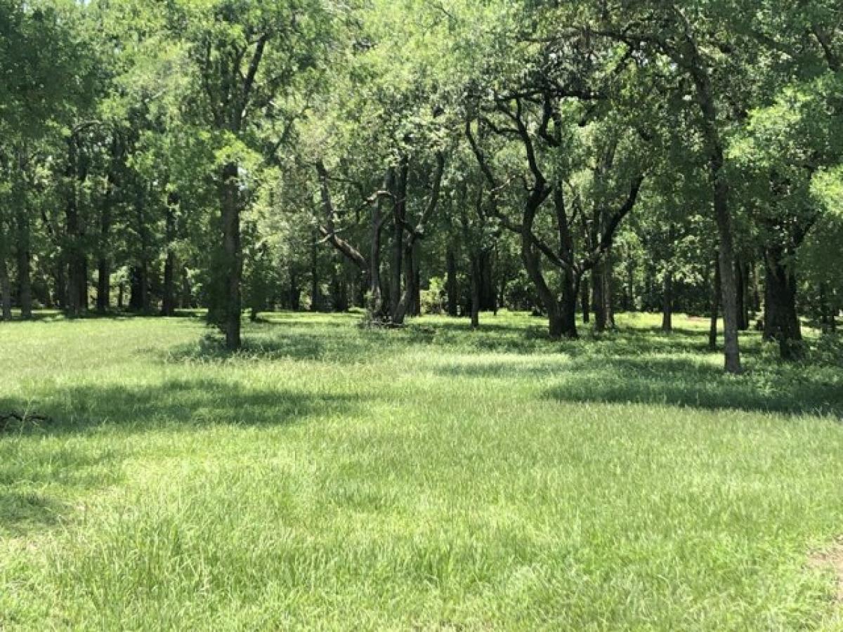 Picture of Residential Land For Sale in Blessing, Texas, United States