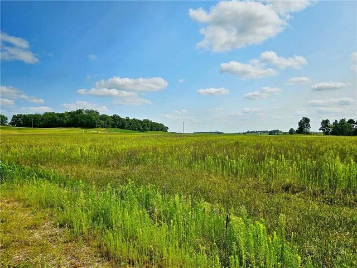 Picture of Residential Land For Sale in Frazee, Minnesota, United States