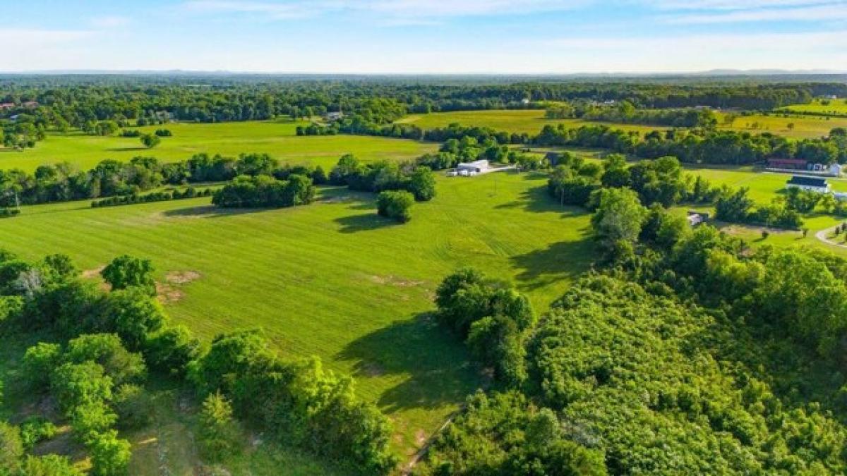 Picture of Residential Land For Sale in Chapel Hill, Tennessee, United States