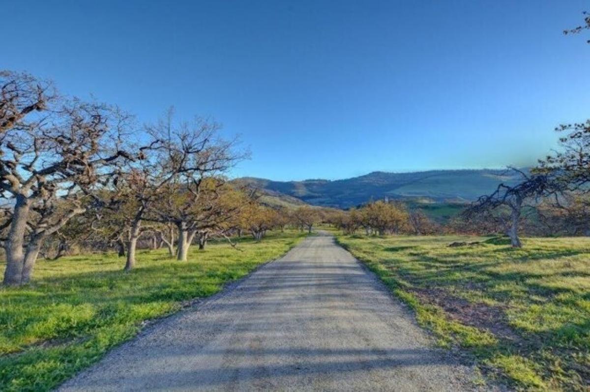 Picture of Residential Land For Sale in Ashland, Oregon, United States