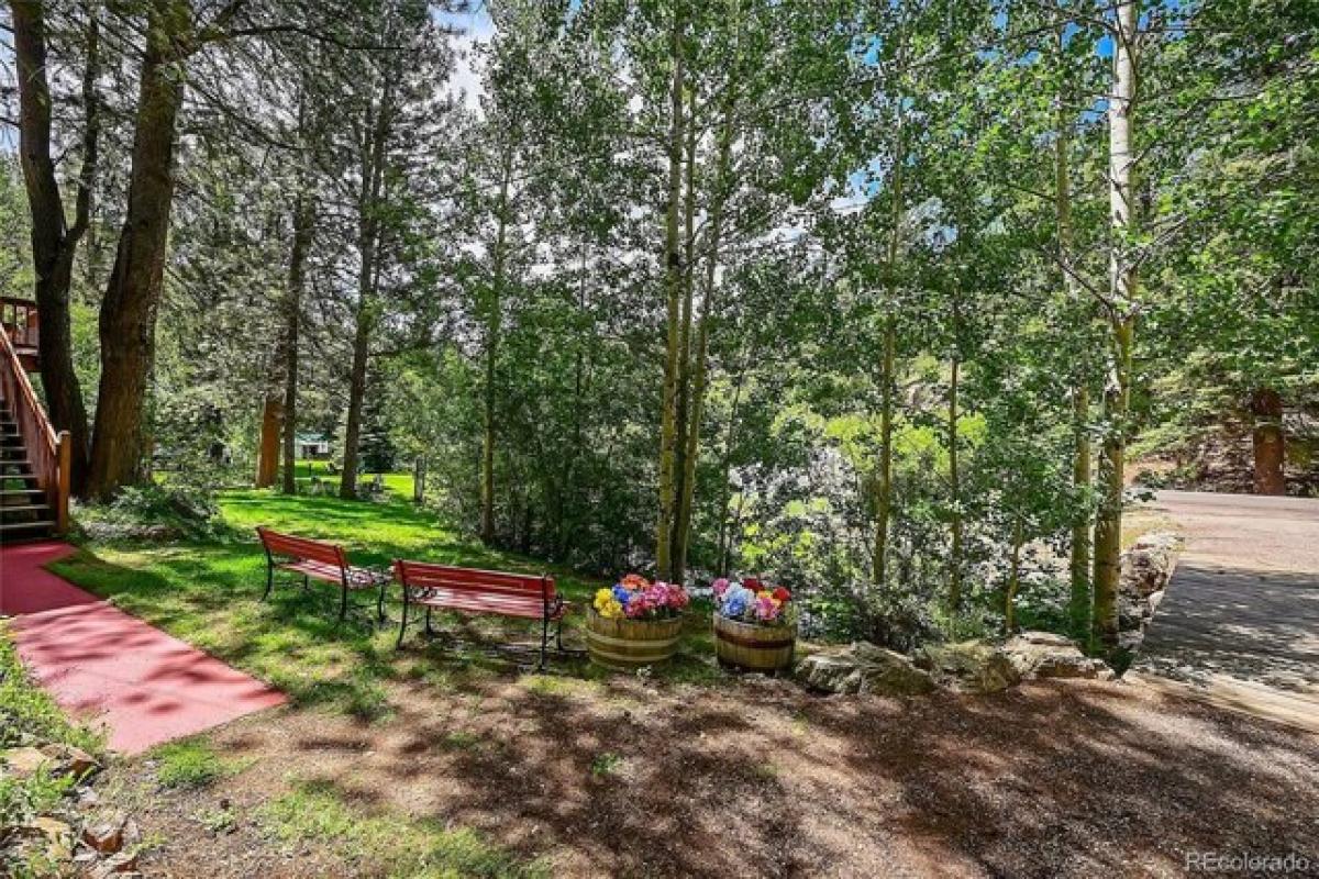 Picture of Home For Sale in Pine, Colorado, United States