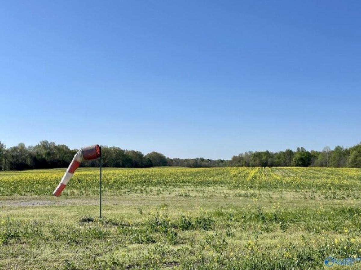 Picture of Residential Land For Sale in Athens, Alabama, United States