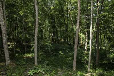 Residential Land For Sale in Somerset, Kentucky