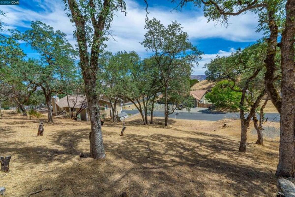 Picture of Residential Land For Sale in Napa, California, United States