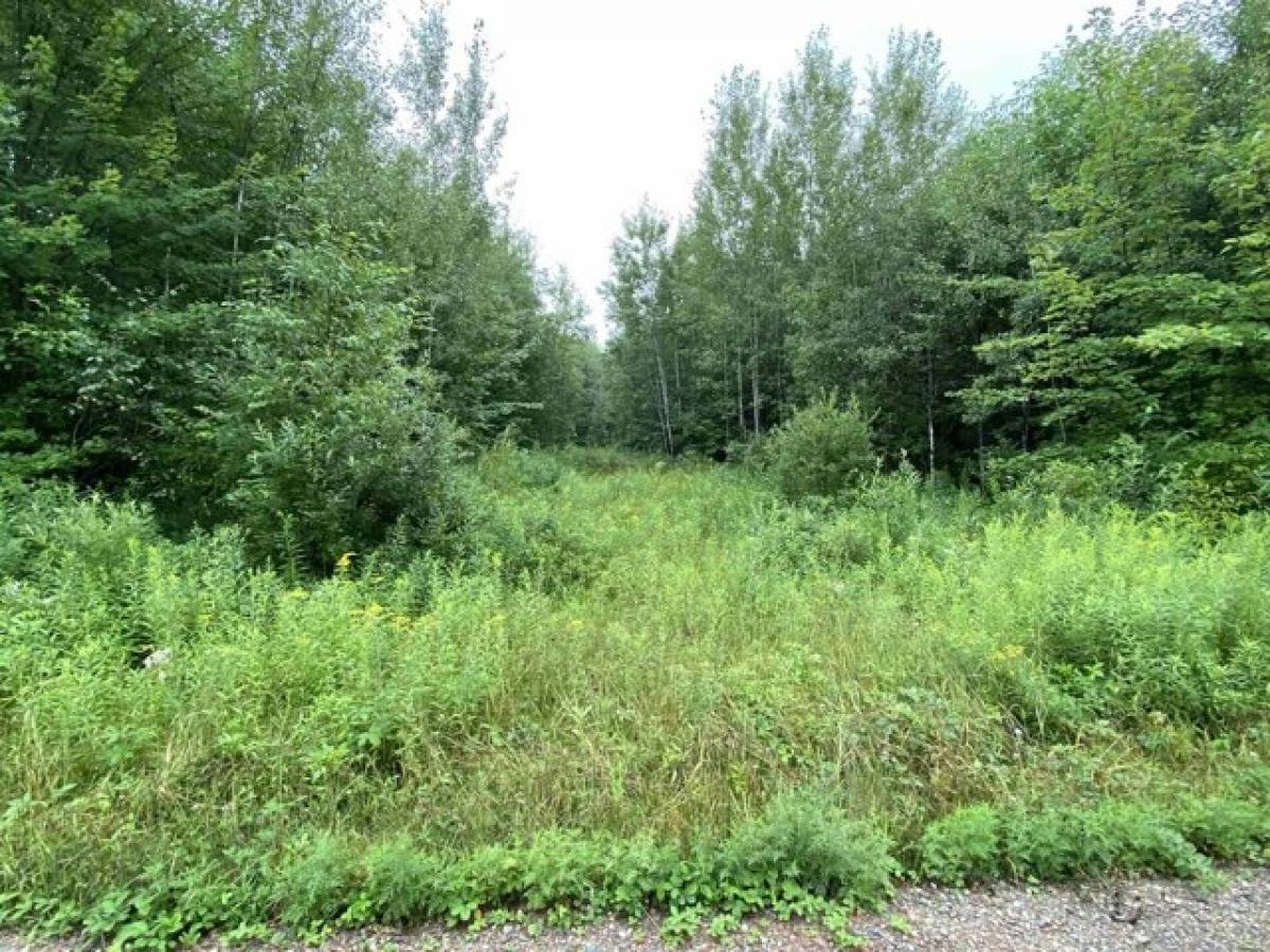 Picture of Residential Land For Sale in Merrill, Wisconsin, United States