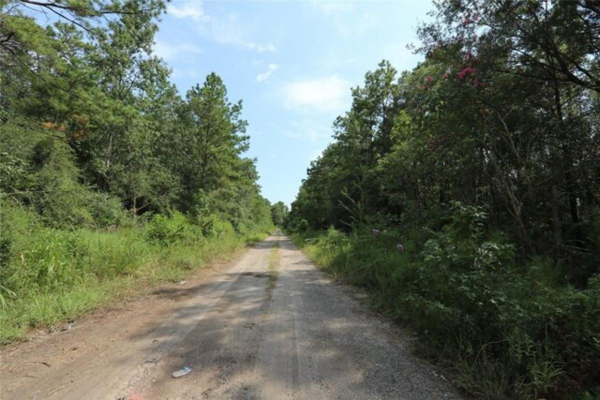 Picture of Residential Land For Sale in Humble, Texas, United States