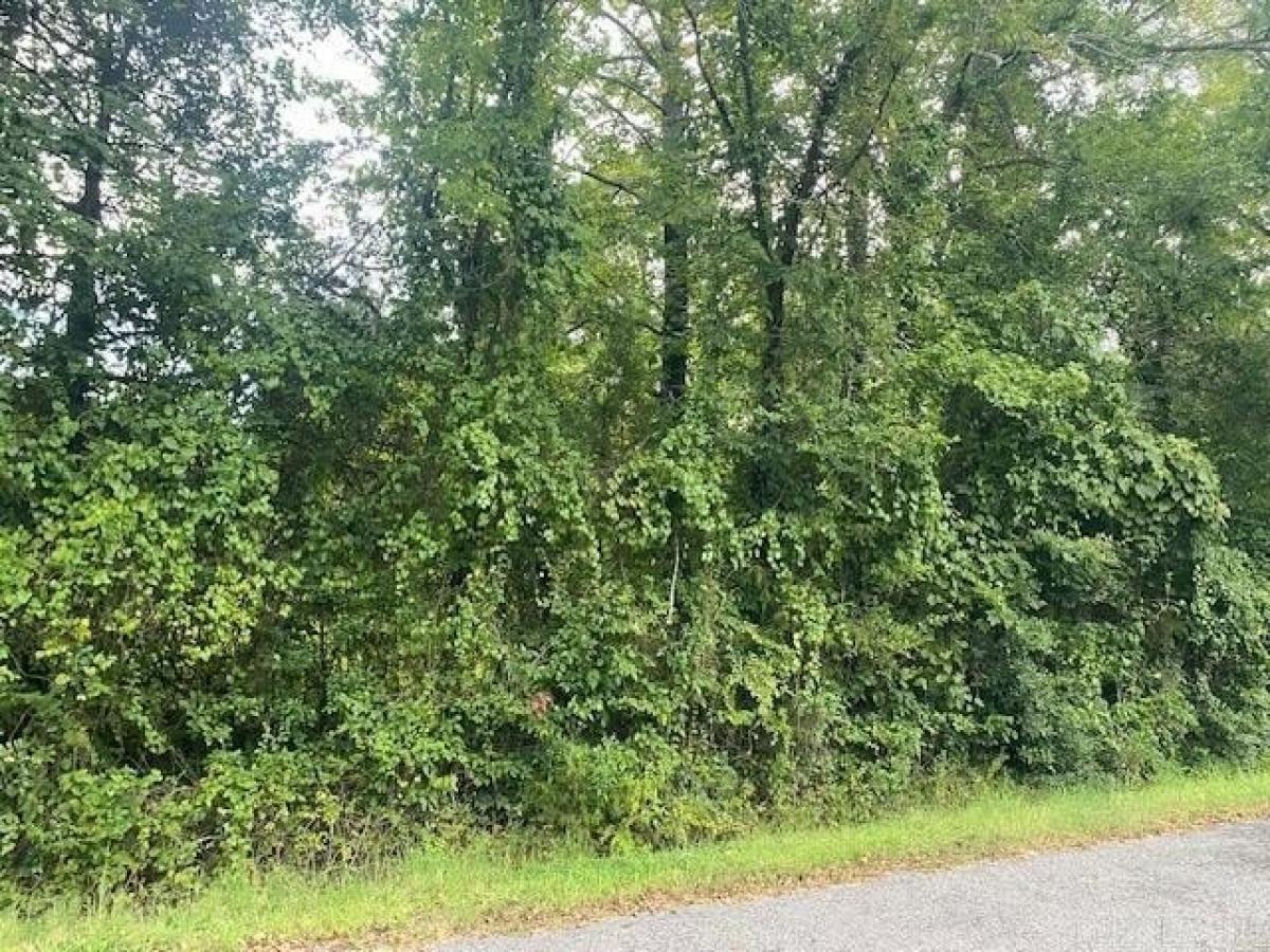 Picture of Residential Land For Sale in Atkins, Arkansas, United States