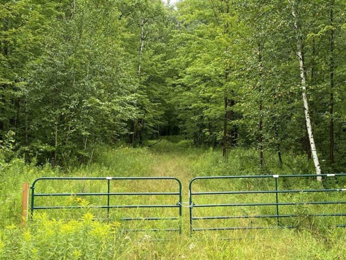 Picture of Residential Land For Sale in Merrill, Wisconsin, United States