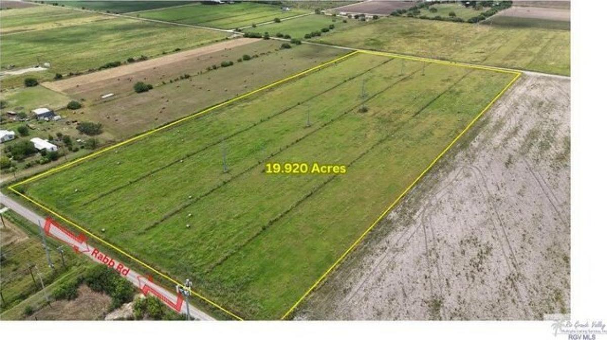 Picture of Residential Land For Sale in Santa Rosa, Texas, United States