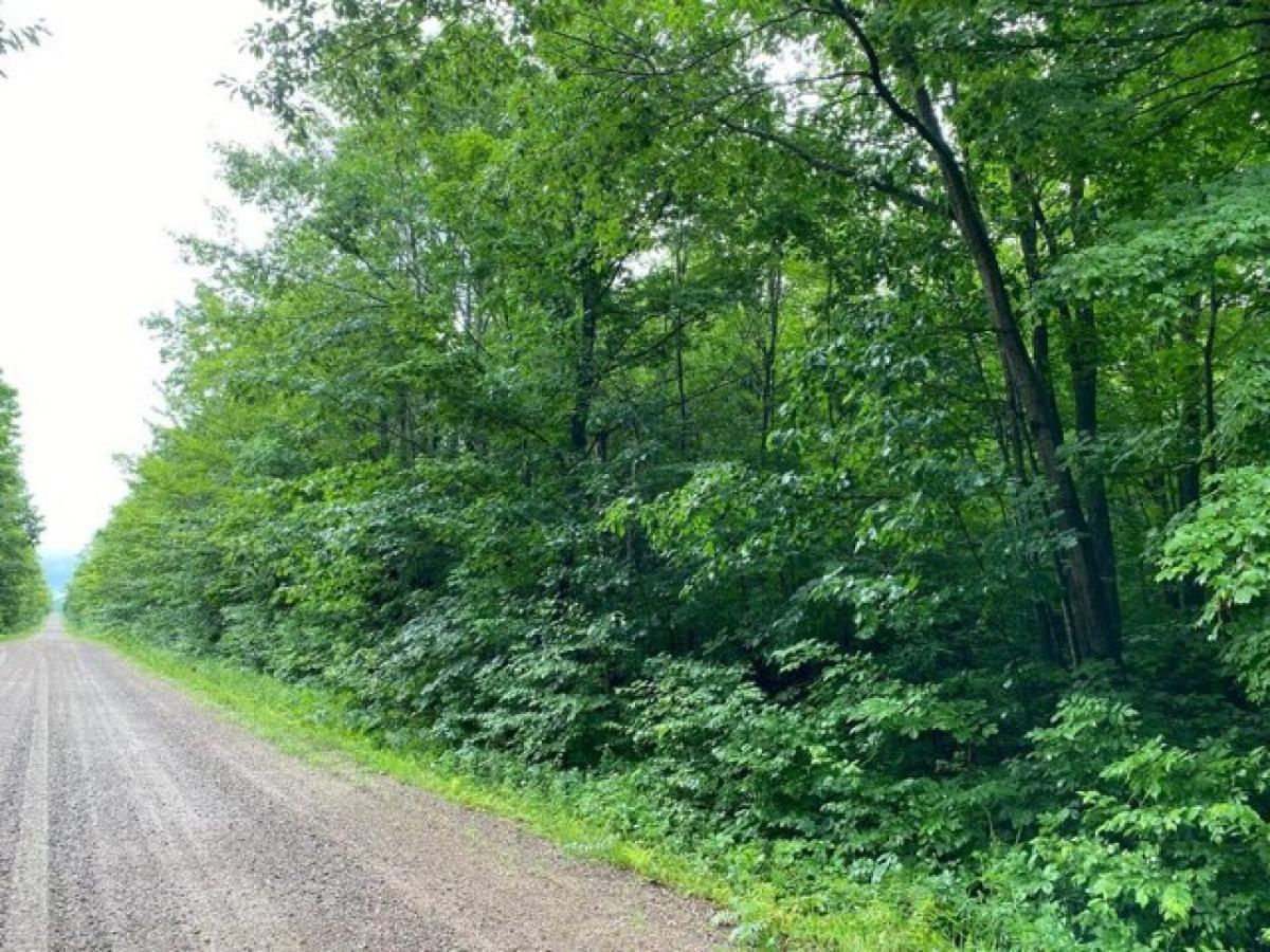 Picture of Residential Land For Sale in Merrill, Wisconsin, United States