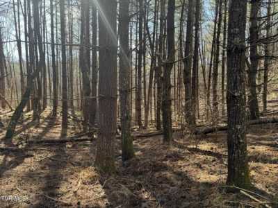 Residential Land For Sale in Erwin, Tennessee